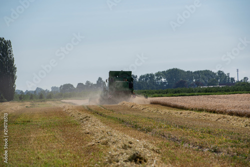 Mähdrescher erntet Getreide auf einem Weizenfeld © Natascha