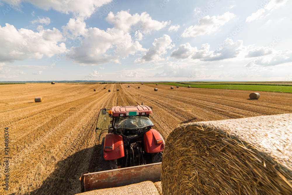 Naklejka premium Straw bales on tractor trailer