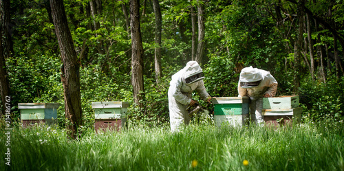 Фотография Beekeeper working collect honey. Beekeeping concept.