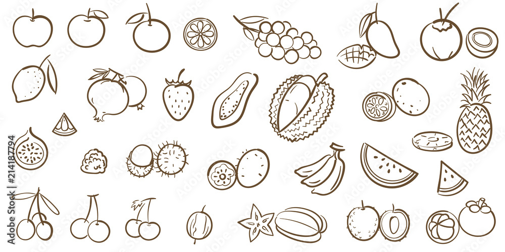 Mix fruits and tropical fruits collection, line art vector illustration in cartoon style Mix fruits and tropical fruits collection, line art vector illustration in cartoon style
