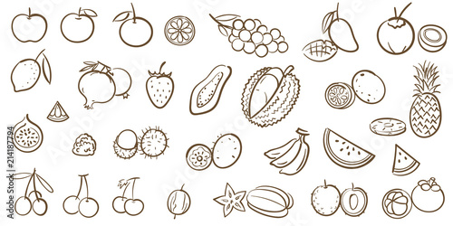 Mix fruits and tropical fruits collection  line art vector illustration in cartoon style