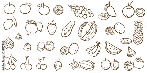 Mix fruits and tropical fruits collection, line art vector illustration in cartoon style