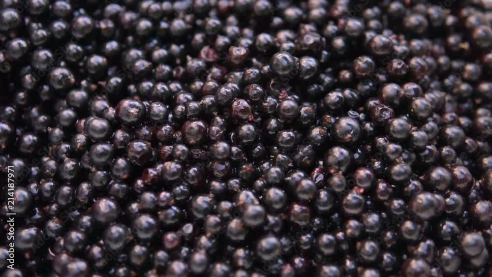 Fresh, ripe currant rotate, wild berry. Fresh blackcurrants in bowl. Fresh, ripe currant rotate, wild berry. Fresh blackcurrants in bowl.