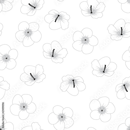 Hibiscus syriacus Outline - Rose of Sharon on White Background.