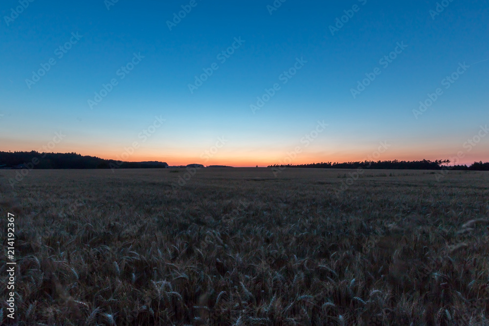 Felder im Sonnenuntergang
