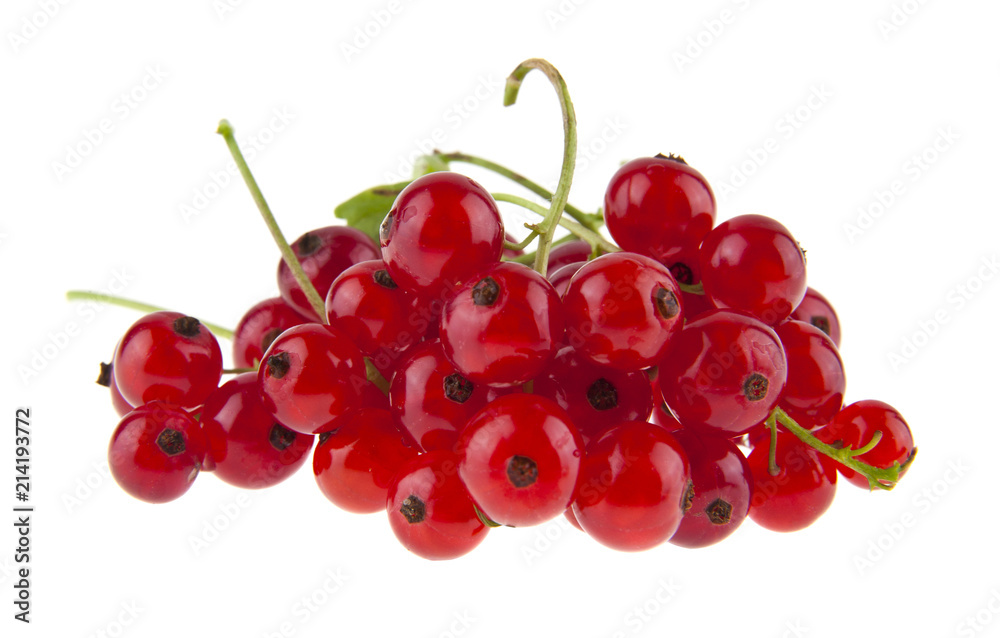 red, juicy currants isolated on white background