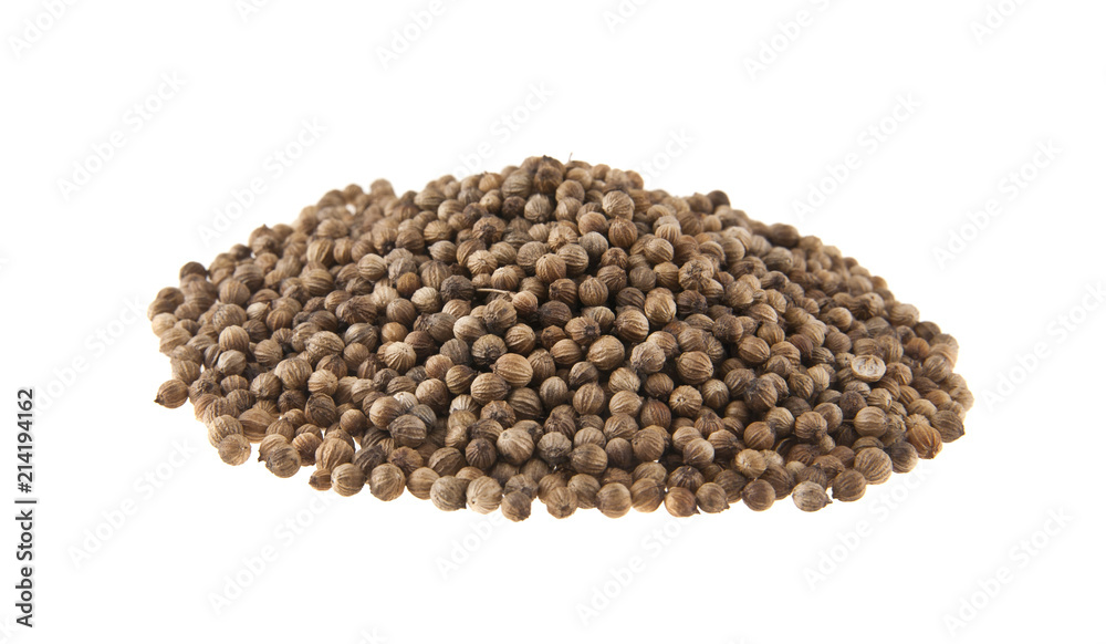 coriander isolated on white background coriander isolated on white background