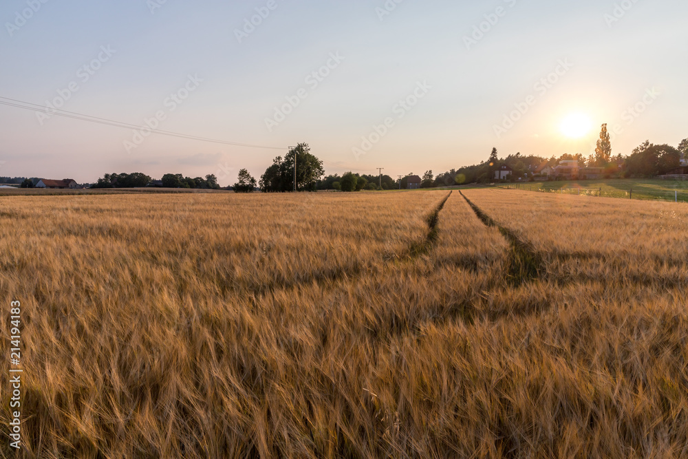 Felder an einem Sommerabend in Hessen