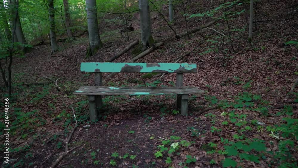 A solitary bench in the middle of the forest surrounded by dead wood. Shot in Ultra High Definition. A solitary bench in the middle of the forest surrounded by dead wood. Shot in Ultra High Definition.