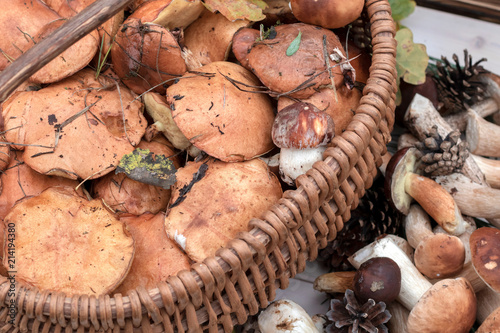 Boletus mushrooms in basket. Rustic style, natural day light. Close up. Autumn background.