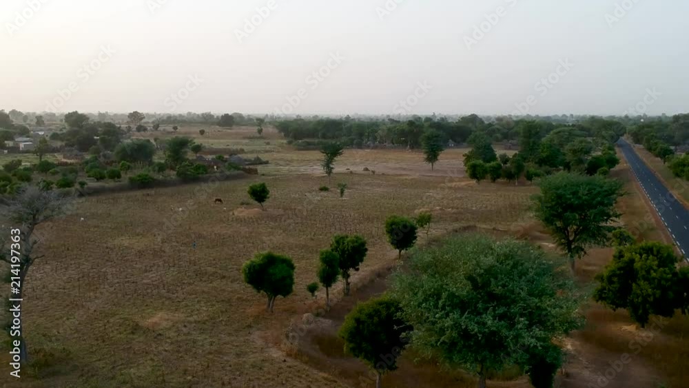 Drone shot moving up overlooking road , tress, arid land in Senegal west Africa Drone shot moving up overlooking road , tress, arid land in Senegal west Africa