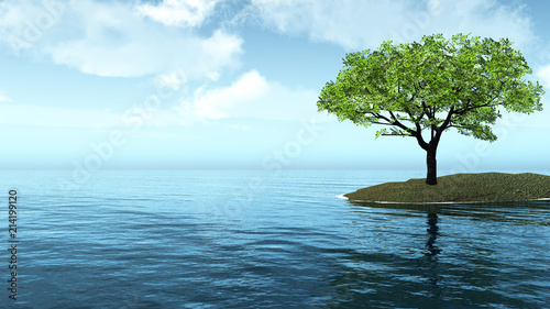 Lonely tree by the sea