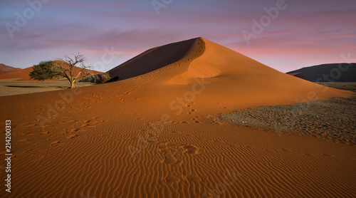 red Sand dune namibian desert sunset