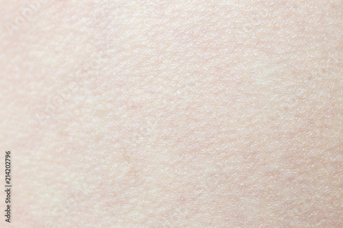 Pattern of human skin with cells and lines texture.