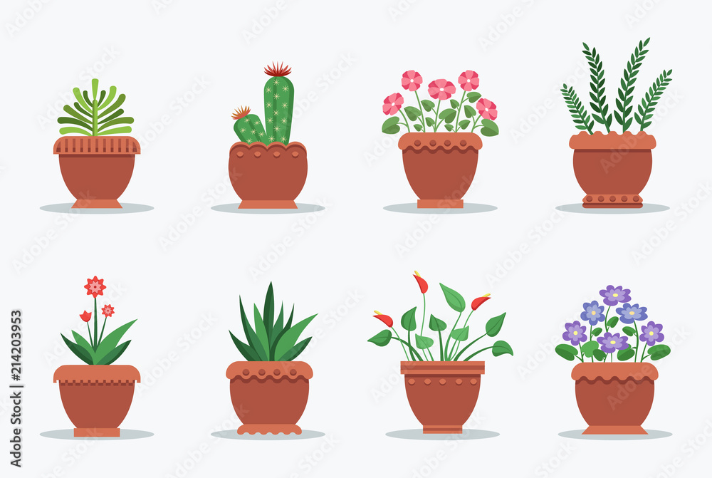 Fototapeta premium Room Plants Collection in Pot Vector Illustration