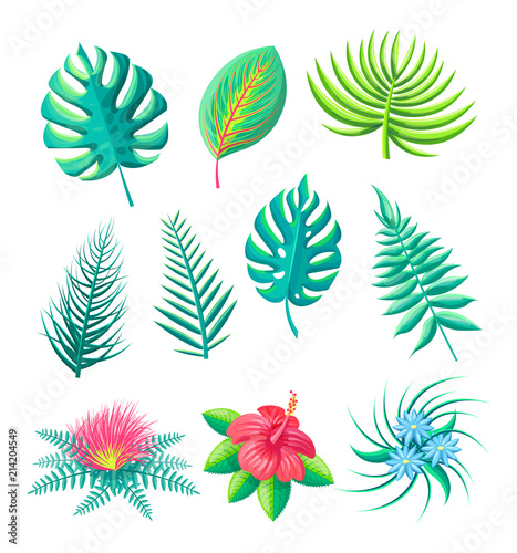 Flower and Leaves Tropical Set Vector Illustration