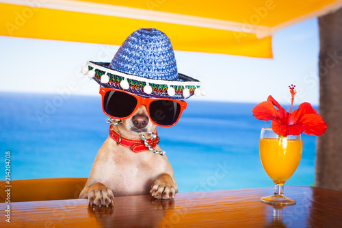 cocktail dog at the beach club © Javier brosch