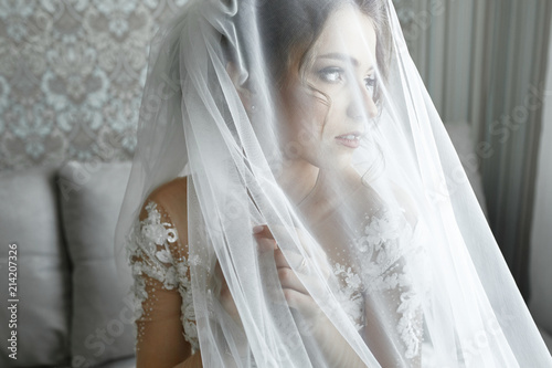 Closeup portrait of young gorgeous bride. © VAKSMANV