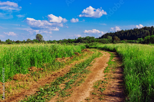 dirt road in the field