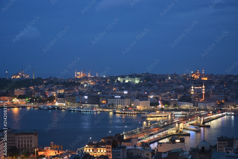 Golden Horn and the Peninsula view from Galata Tower