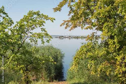 Wallpaper Mural view to river in natural green frame Torontodigital.ca