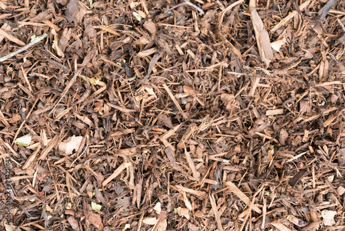 Play Ornamental Bark