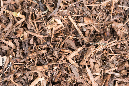 Play Ornamental Bark Close