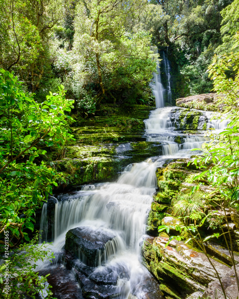 Naklejka premium The view at McLean Falls