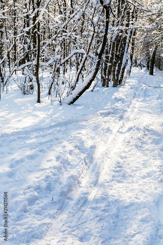 ski track in snowy urban park in sunny winter day © vvoe