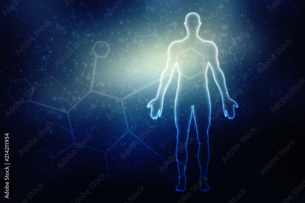 2d illustration Human Male Muscle Body
