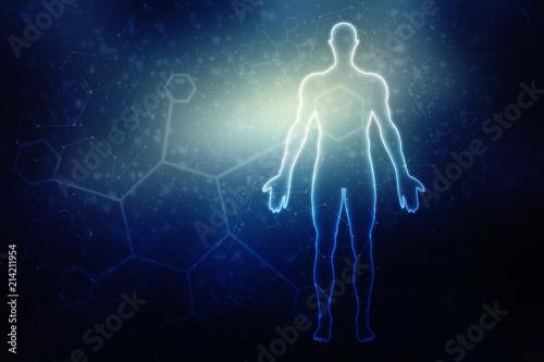 2d illustration Human Male Muscle Body 