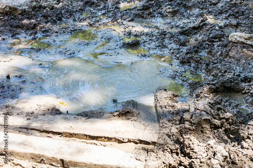 mudpot in Shapsugskaya zone photo