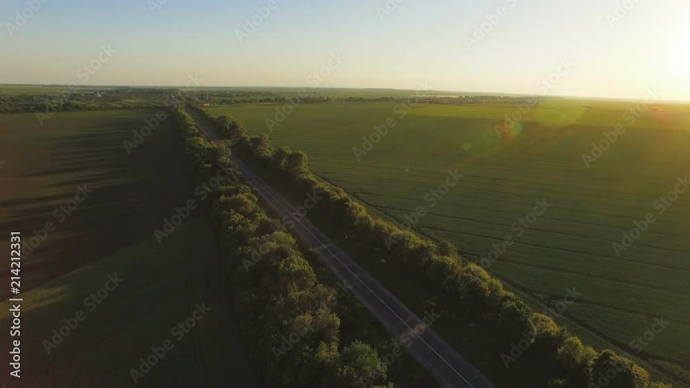Aerial view over road between plantings and green fields Aerial view over road between plantings and green fields