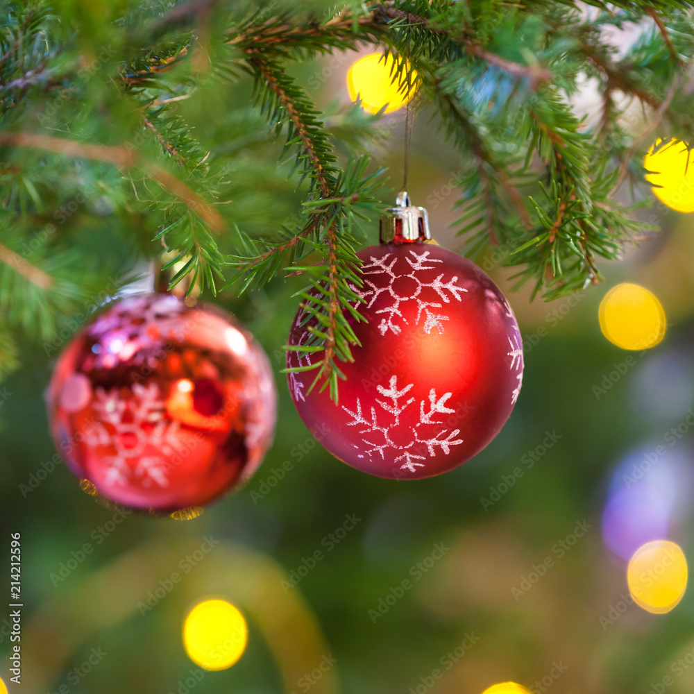 red balls on fir christmas tree branch close up red balls on fir christmas tree branch close up