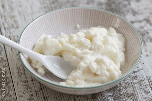 Kefir fungus