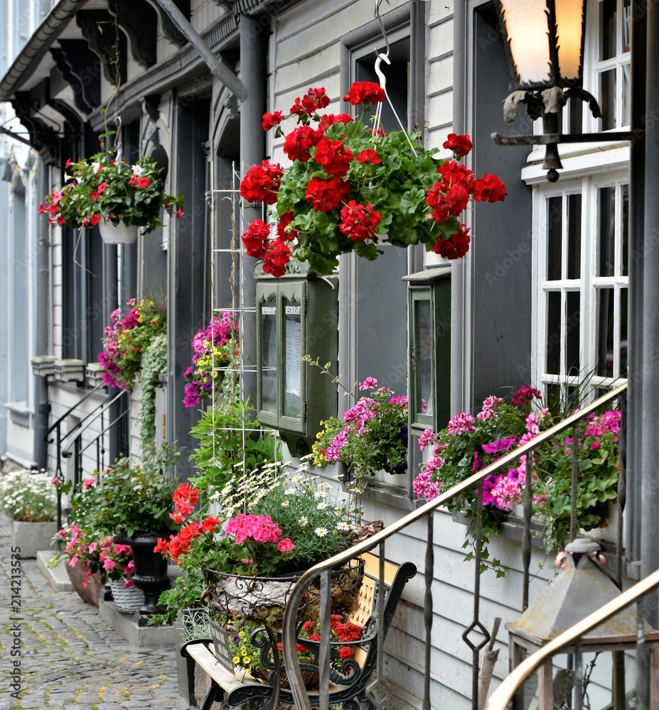 Naklejka premium Montjoie...