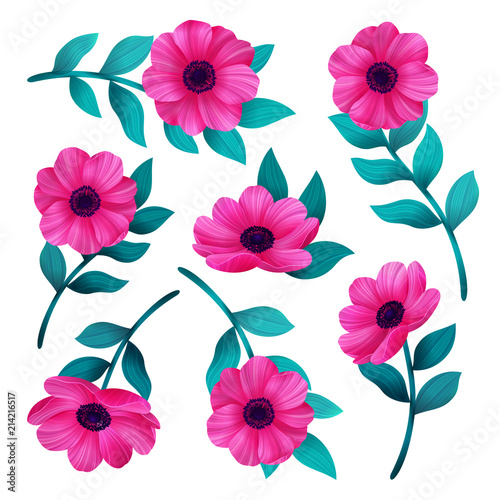 Pink flowers isolated on white background. Beautiful wild flower set. Vector ...