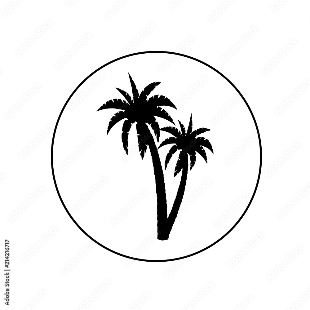 Palm tree icon, logo