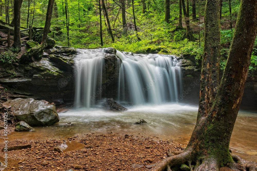 Fototapeta premium Debord Falls At Frozen Head State Park