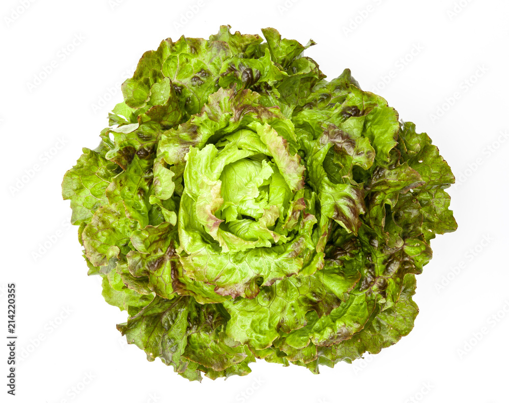 Salatkopf Salatkopf