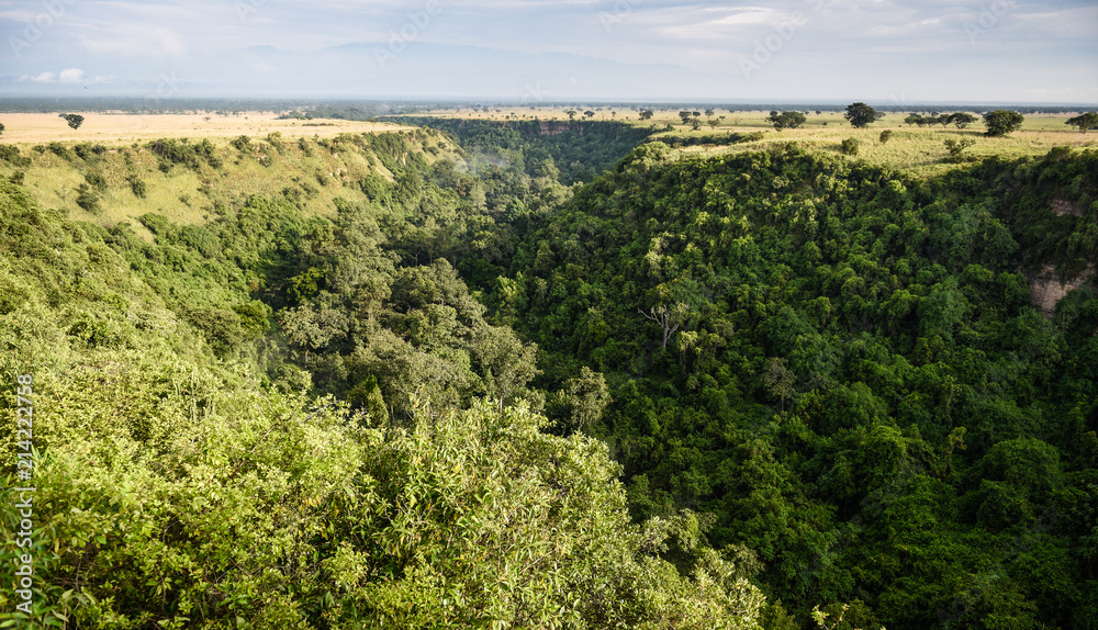 One kilometer long and 100 meters deep Kyambura Gorge in the Queen Elizabeth National Park that is a home for chimanzees, Uganda