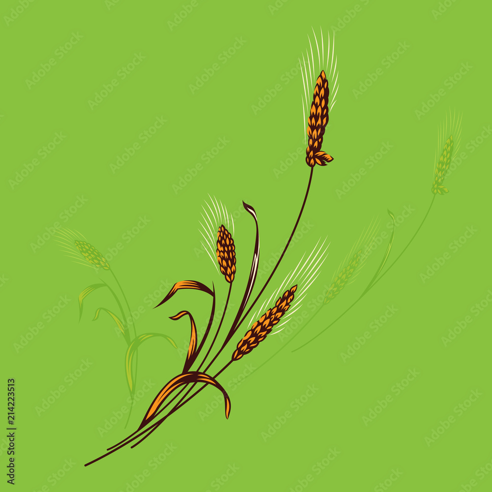 Agriculture wheat Logo Template vector icon design. Wheat Ears for Identity Style of Natural Product Company and Farm Company. Organic wheat, bread agriculture and natural eat. 