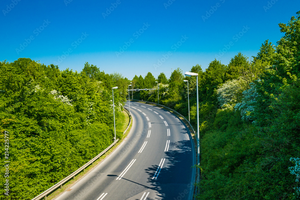 country road with trees beside. Asphalt road