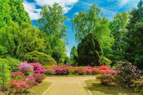 Fototapeta Naklejka Na Ścianę i Meble -  Beautiful garden in spring
