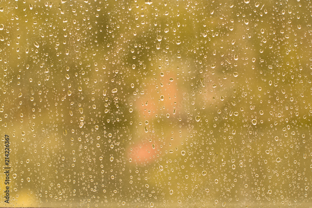 Fresh rain splash drops on a window with background autumn nature