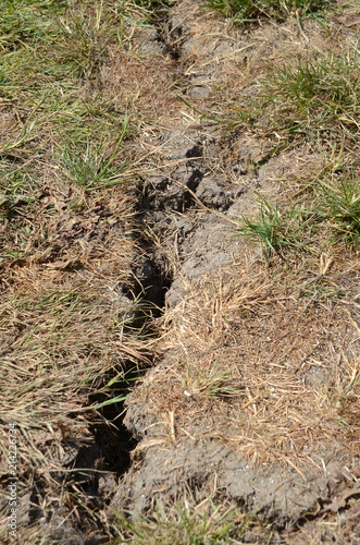 The ground in a football field cracked because of dryness and no rain in 3 months., also withered grass can be seen. The depth of this crack is around 35 cm; ca one foot.