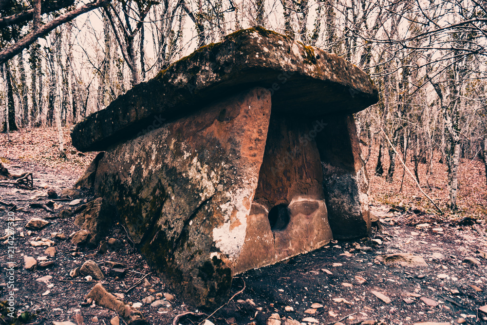 Dolmen in the forest. Mysterious dolmen