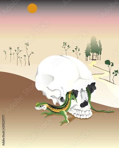 Le lézard et le crâne