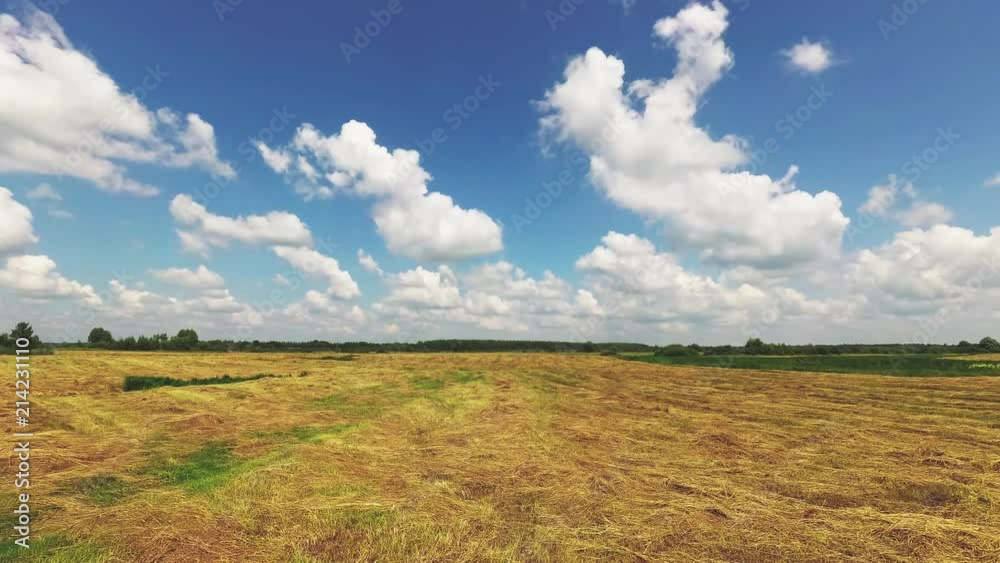 pasture, green meadow under a blue sky with clouds. pasture, green meadow under a blue sky with clouds.