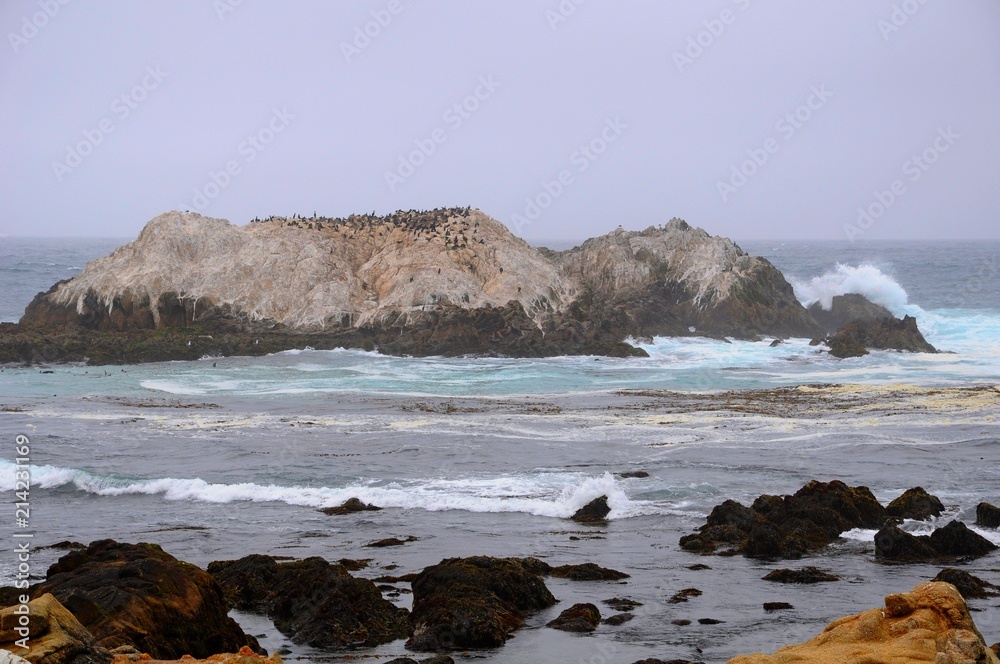 Beautiful beach near 17 mile Drive in Monterey, California, United States